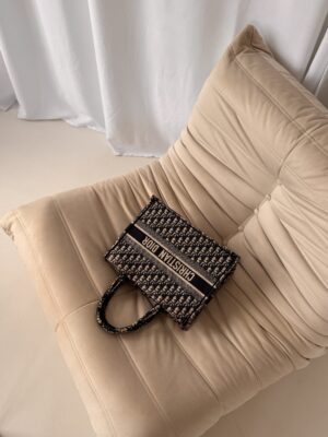 Dior Book Tote Bag Oblique