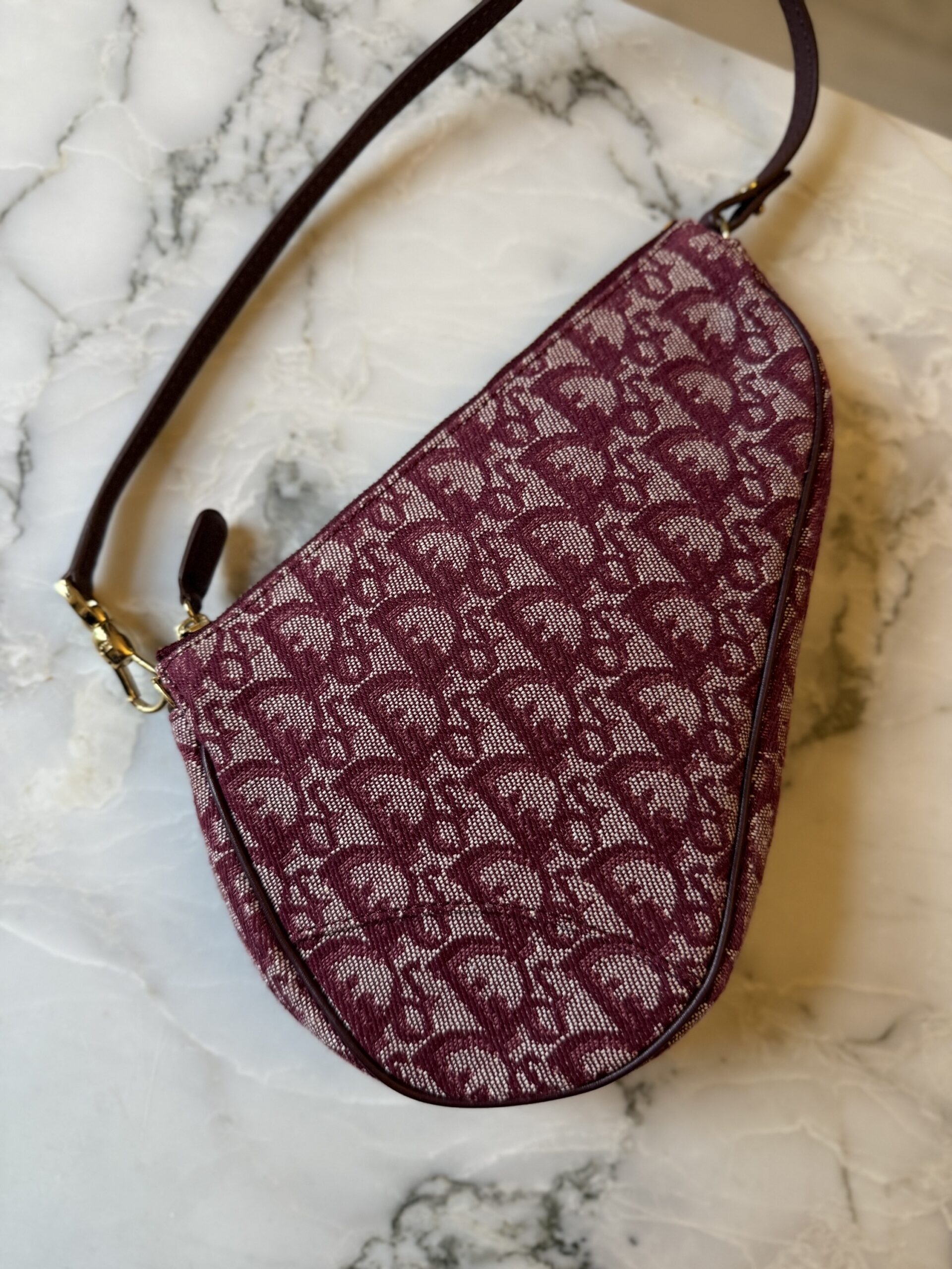 Dior Trotter Saddle Shoulder Bag