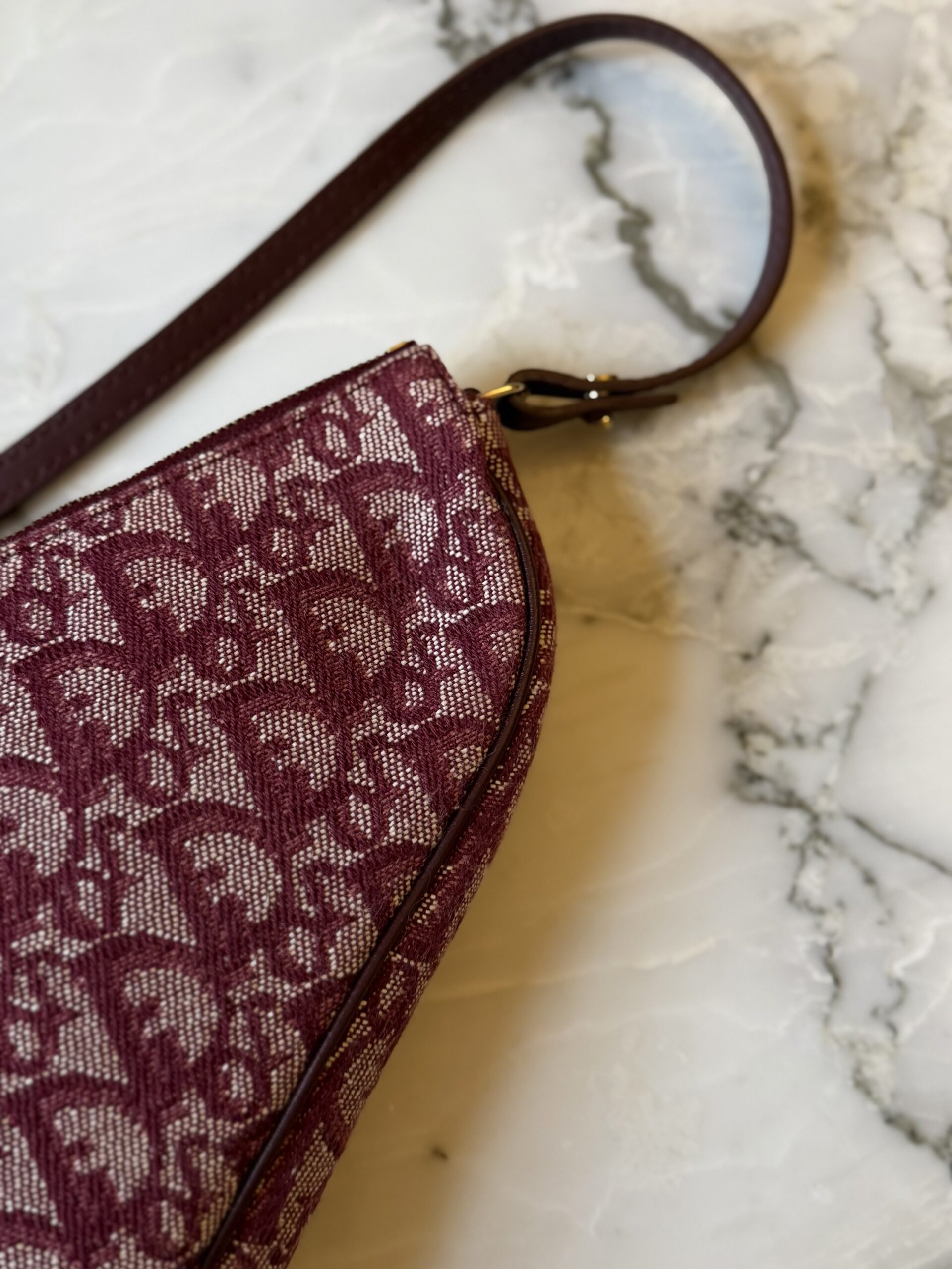 Dior Trotter Saddle Shoulder Bag - obrazek 14