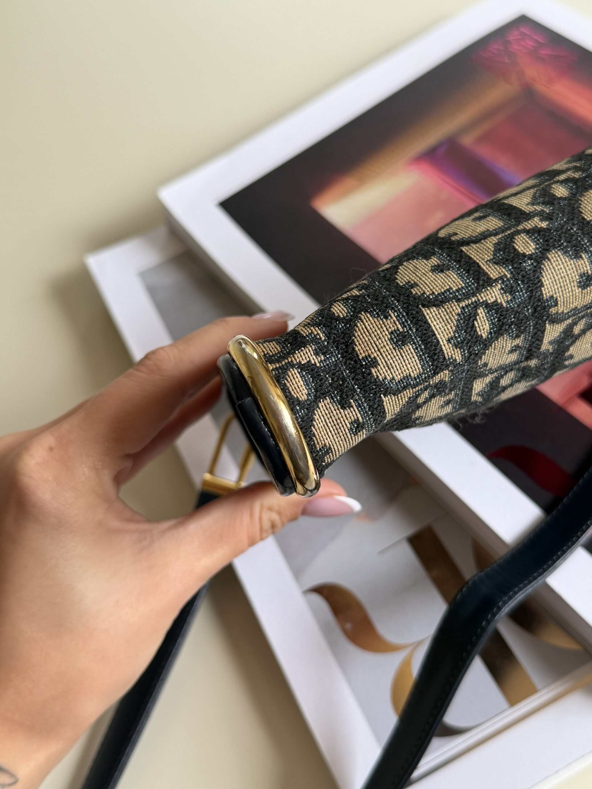Dior Trotter Shoulder Bag - obrazek 19