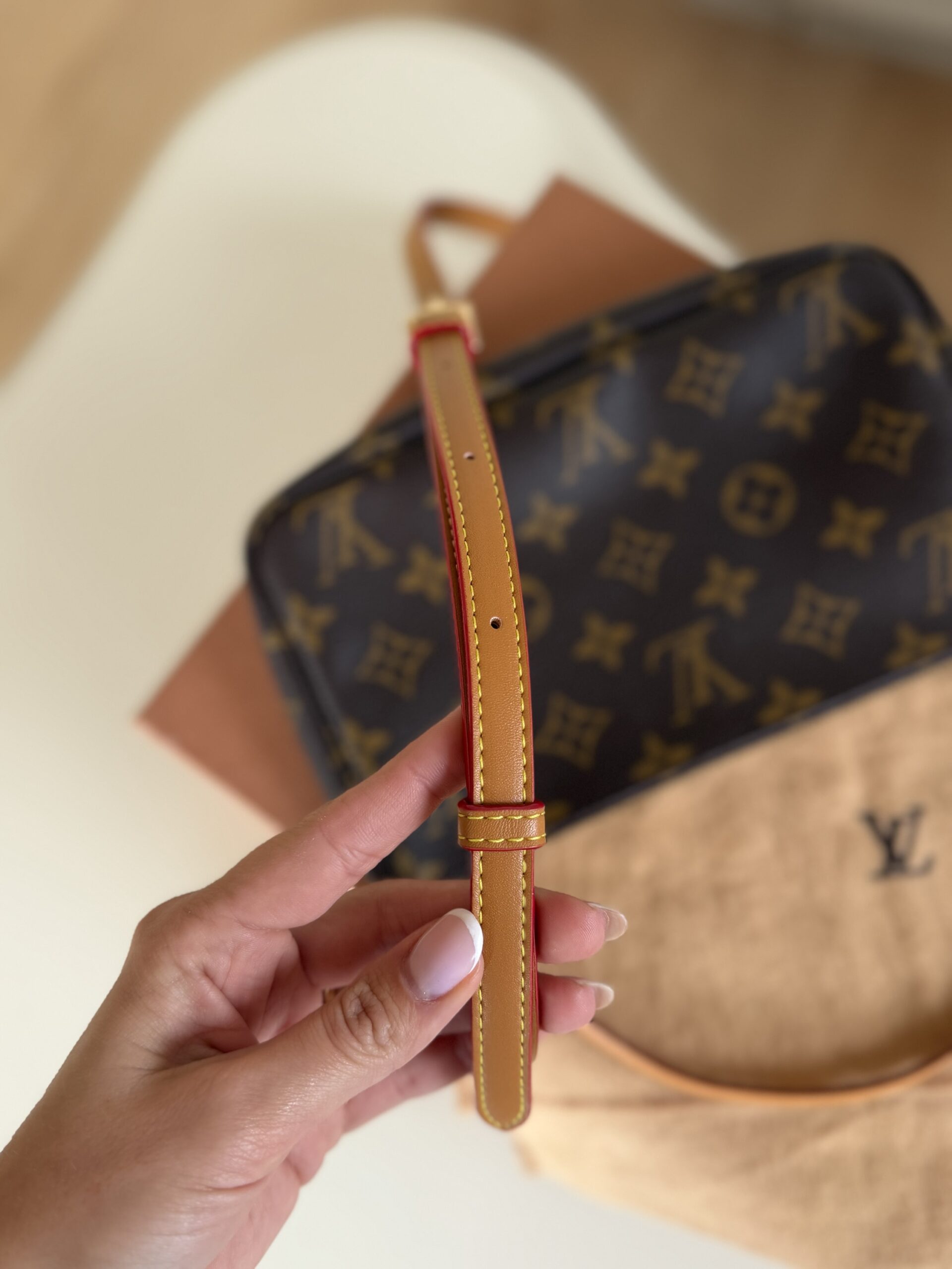 Louis Vuitton Monogram Pochette - obrazek 30